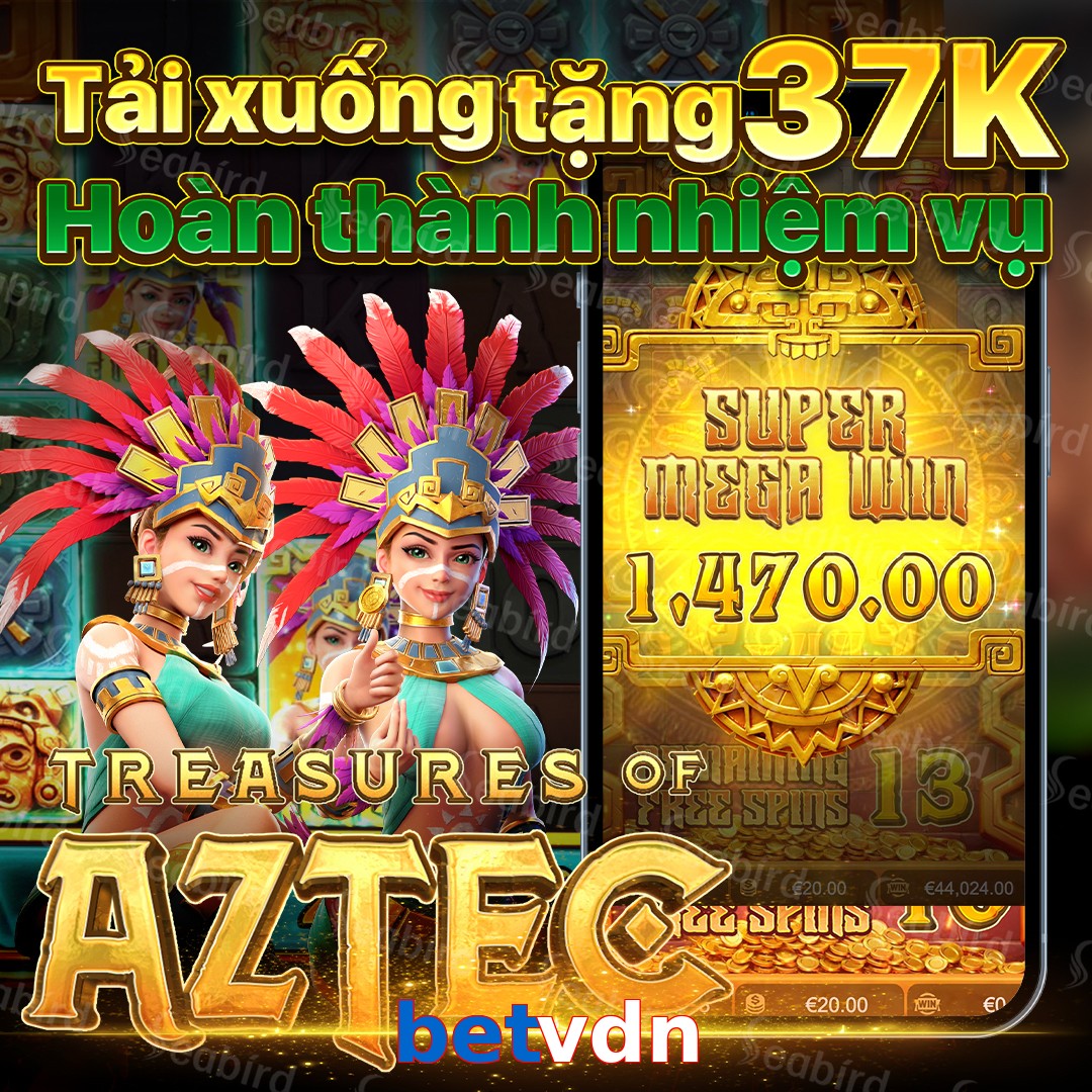 betvdn