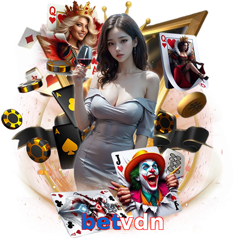 betvdn