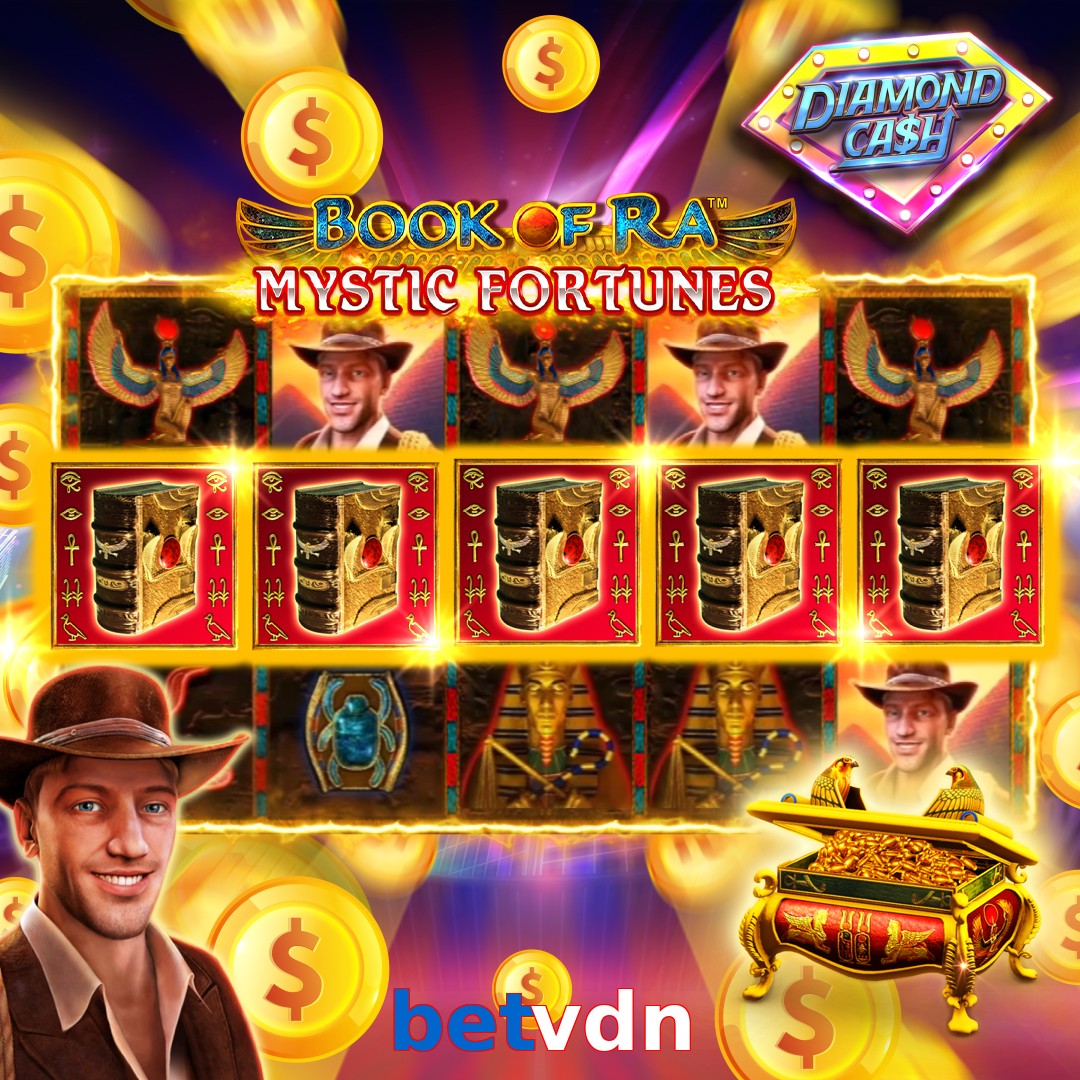 betvdn