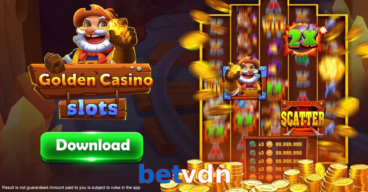 betvdn