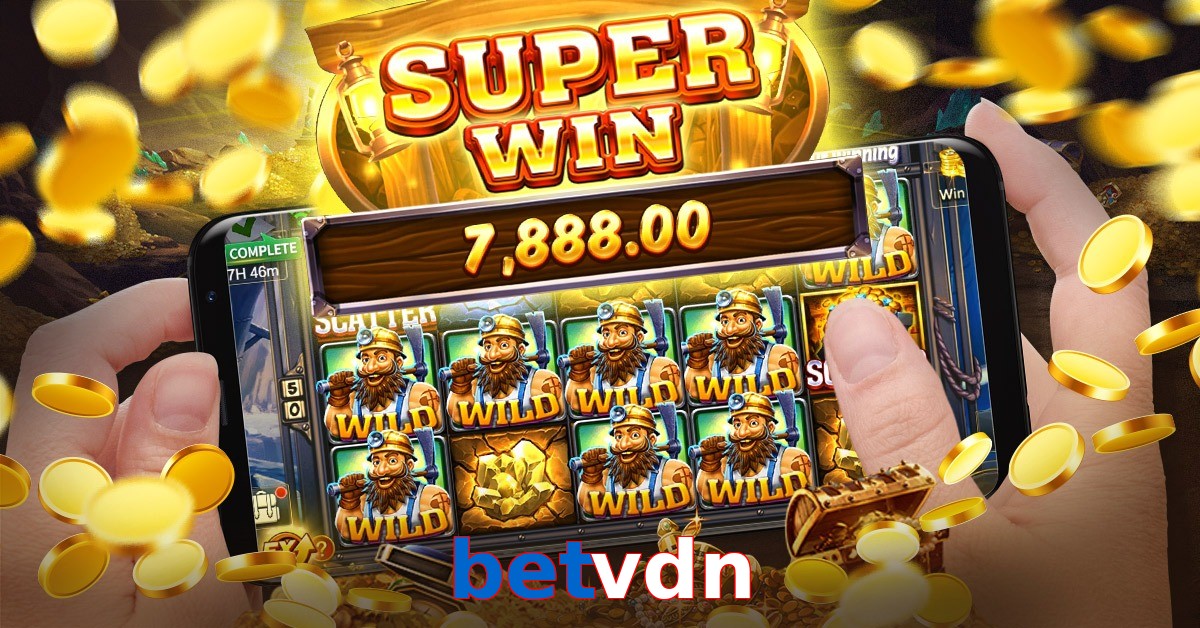 betvdn