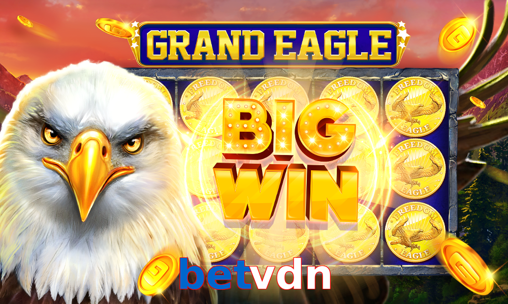 betvdn