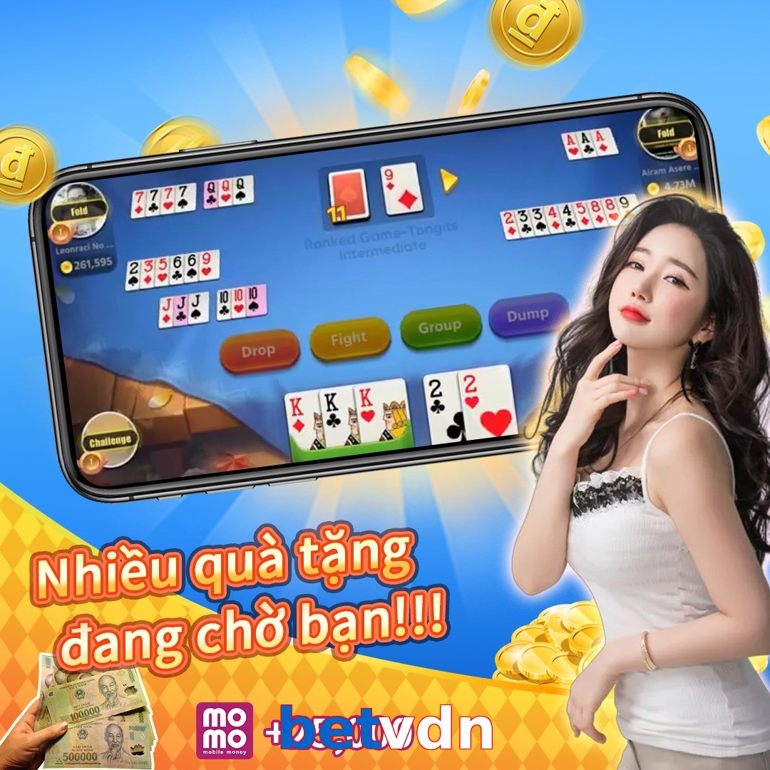 betvdn