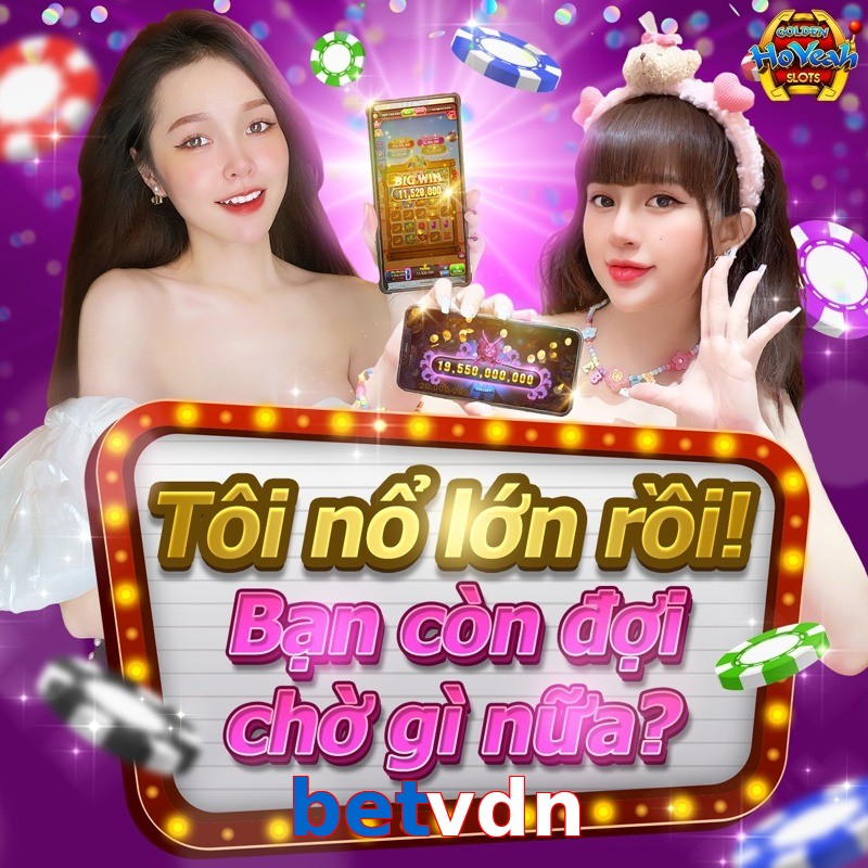 betvdn