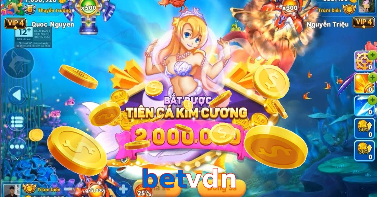 betvdn