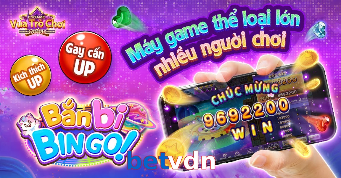 betvdn