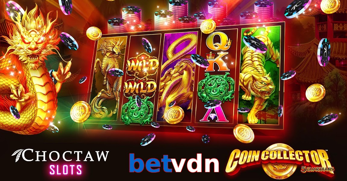 betvdn