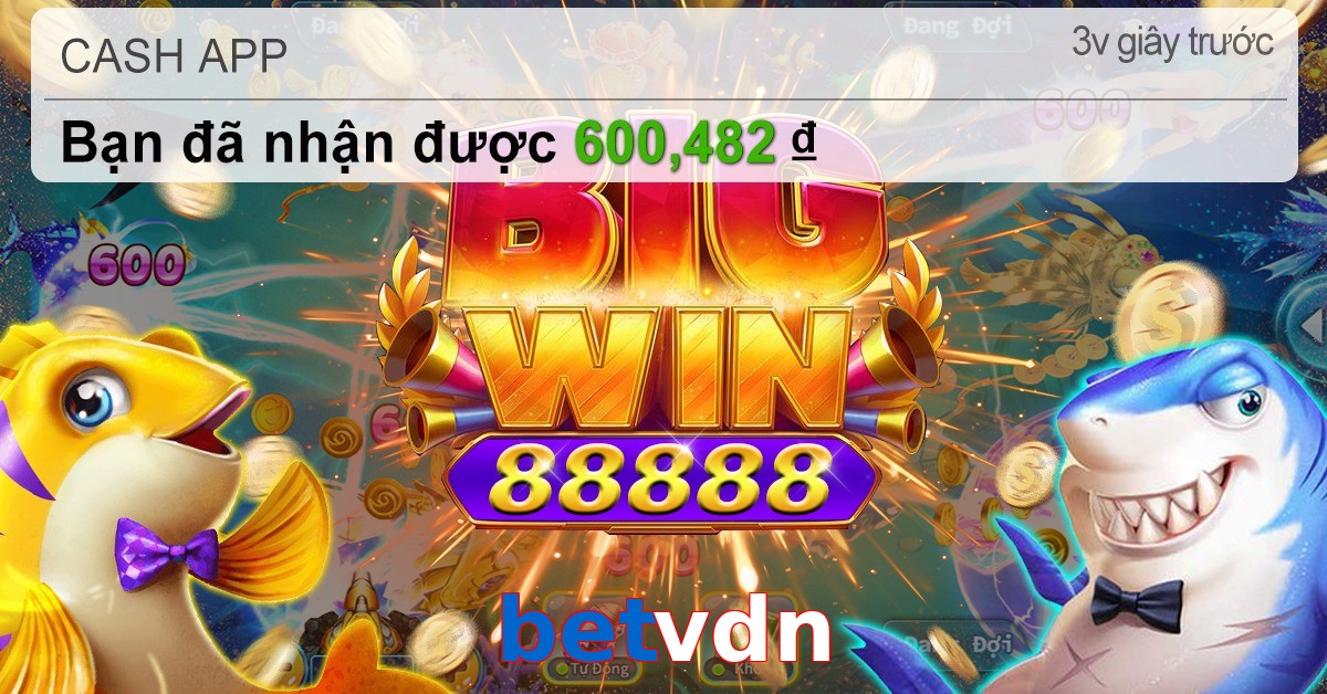 betvdn