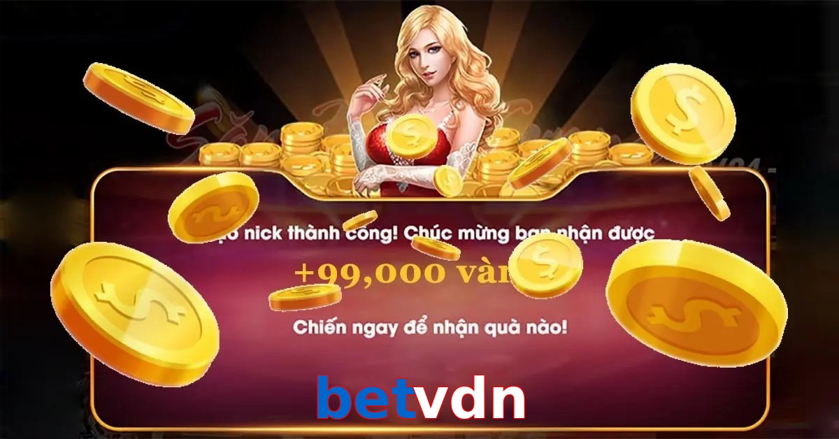 betvdn