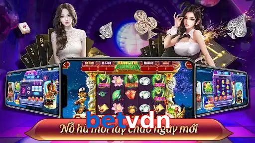 betvdn