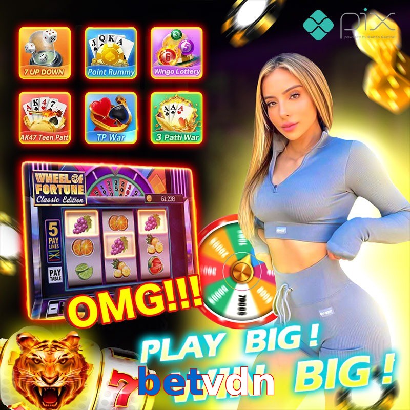 betvdn