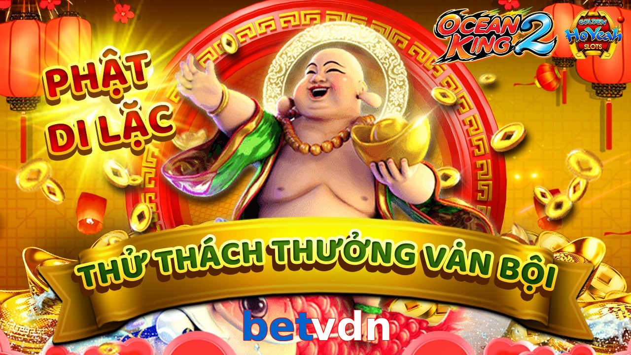 betvdn