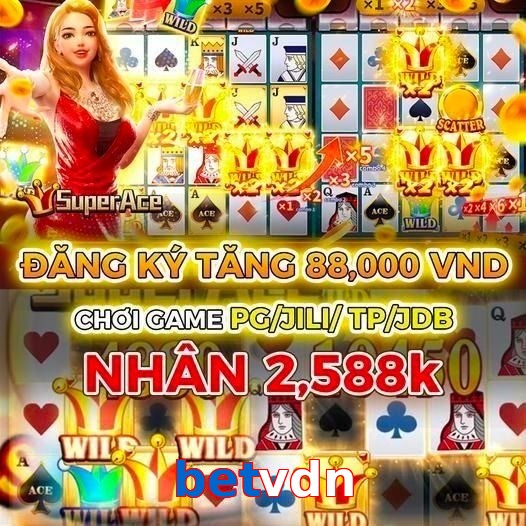 betvdn