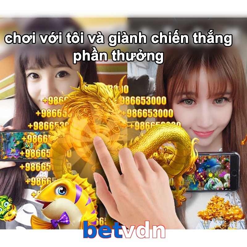 betvdn