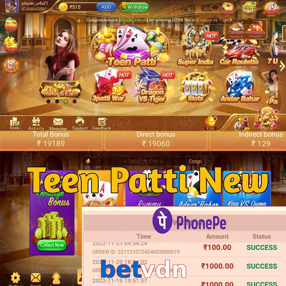 betvdn