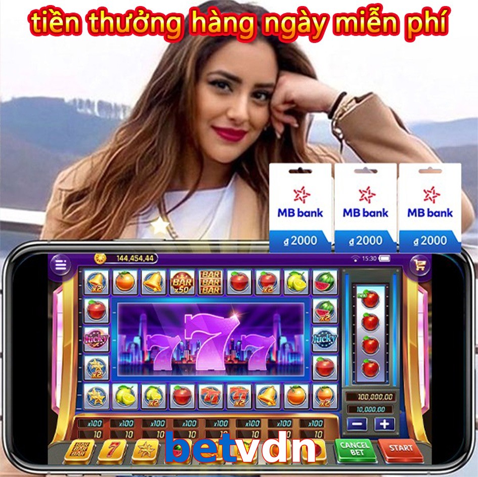betvdn
