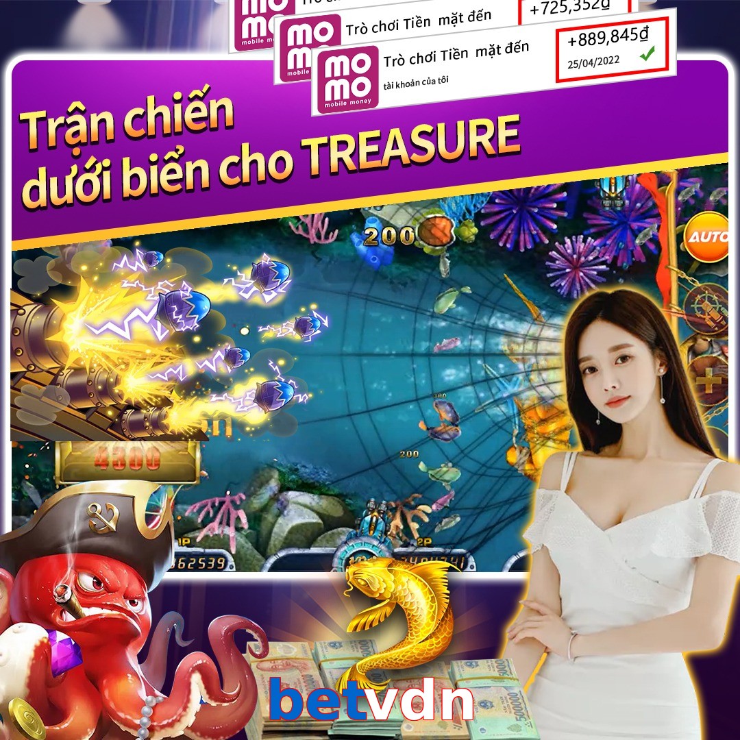 betvdn